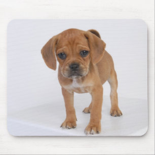 Puggle Puppy Pad Mouse Pad