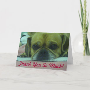 PUGGLE Thank you So Much greeting card