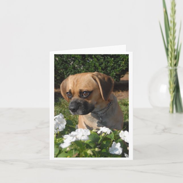 Puggles Card (Front)