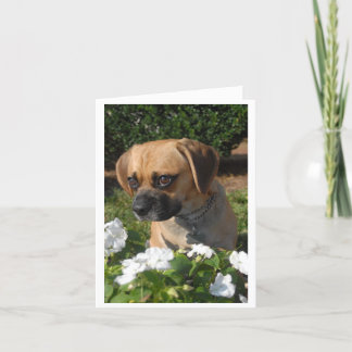 Puggles Card