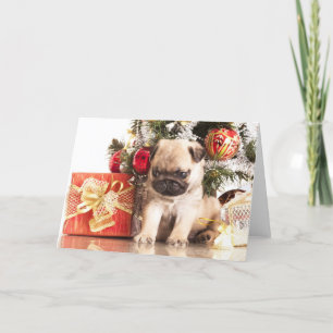 Pugs and Christmas gifts Holiday Card