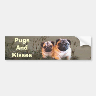 Pugs and Kisses Bumper Sticker
