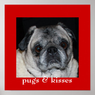 Pugs & Kisses Poster