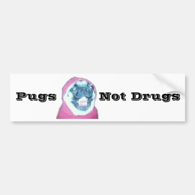 Pugs Not Drugs Bumper Sticker (Front)