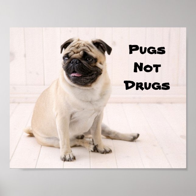 Pugs Not Drugs Poster (Front)