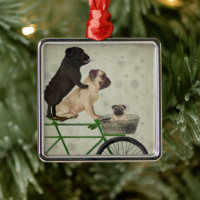 Pugs on Bicycle