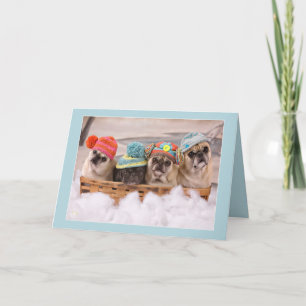 Pugs “Peace to You” Holiday Cards Pugs and Kis