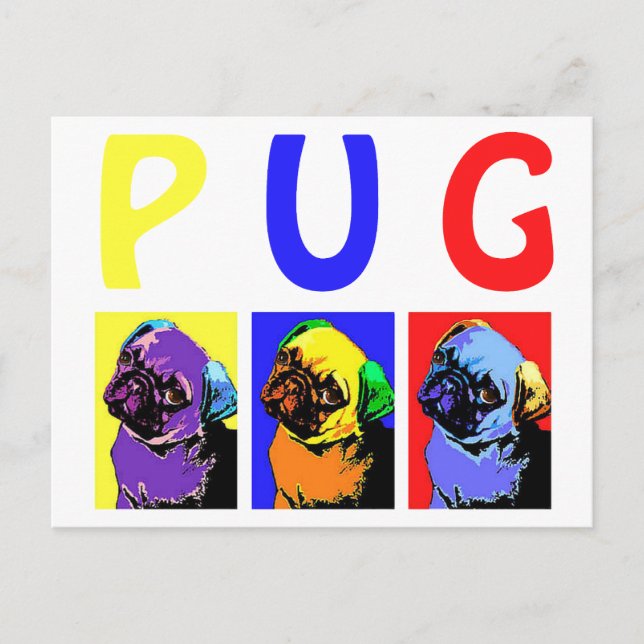 Pugs Postcard (Front)
