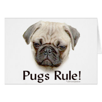 Pugs Rule