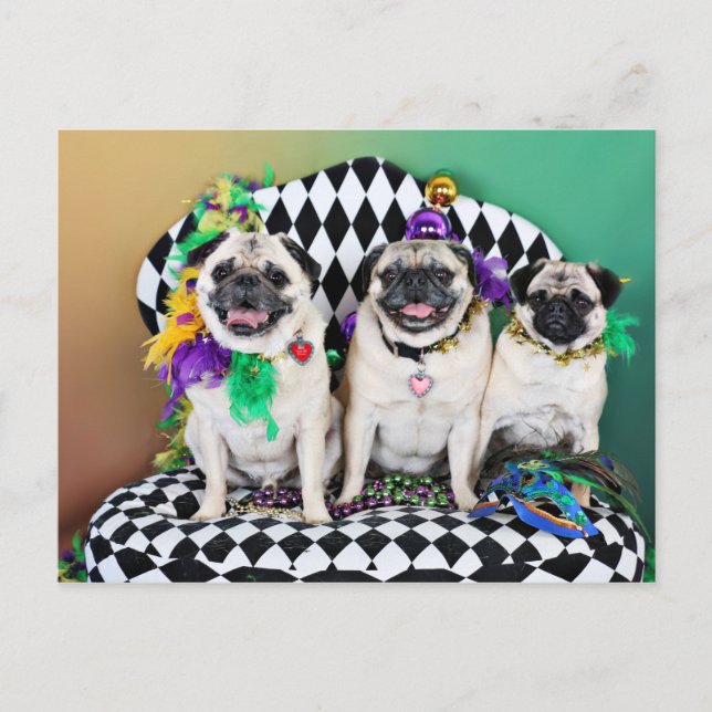Pugsgiving Mardi Gras 2015 - Hambone Coco Olivia - Postcard (Front)