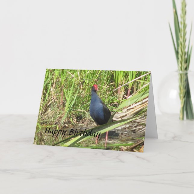 Pukeko Birthday Card (Front)