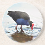 Pukeko Coaster<br><div class="desc">The Pukeko is one of the most gorgeous of New Zealand Native Birds. With their almost iridescent indigo blue breast. The back and wings are black with a greenish gloss and the undertail coverts are pure white. The large scarlet bill and orange-red legs and feet complete a very exotic picture.They...</div>