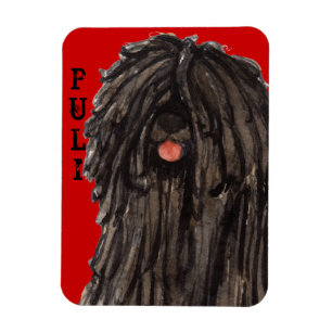 Puli Colour Block Magnet