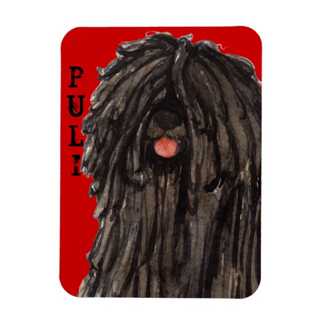 Puli Colour Block Magnet (Vertical)