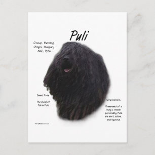 Puli History Design Postcard