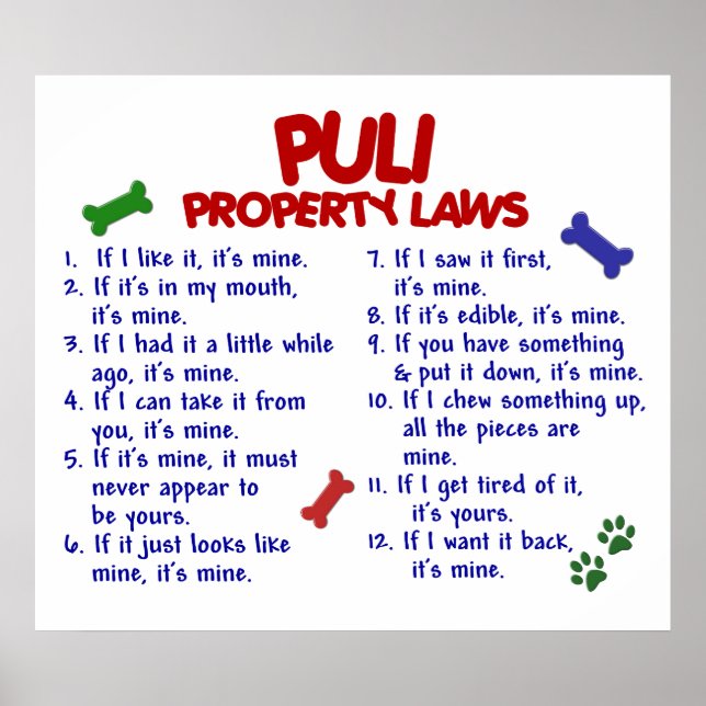 PULI PL2 POSTER (Front)