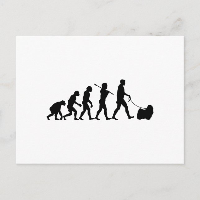 Puli Postcard (Front)