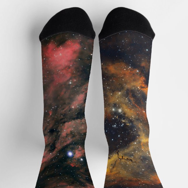 Pull the universe socks (Top)