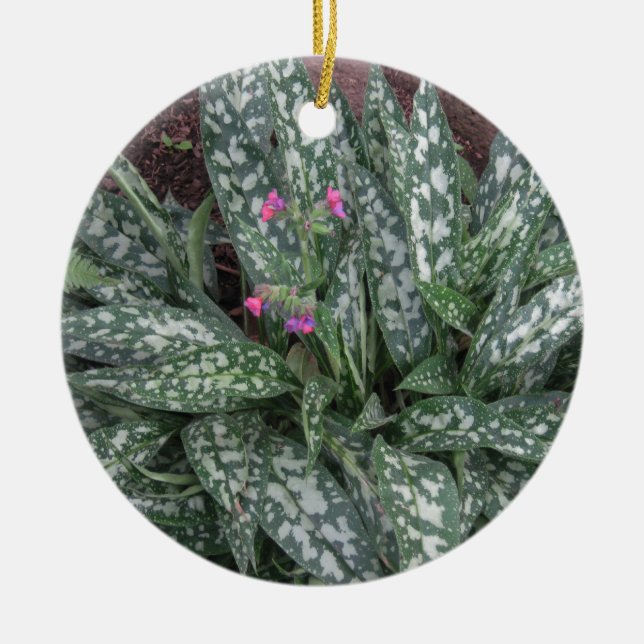 Pulmonaria - Lungwort perennial Ceramic Tree Decoration (Front)