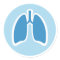 Pulmonology pulmonologist round lung stickers