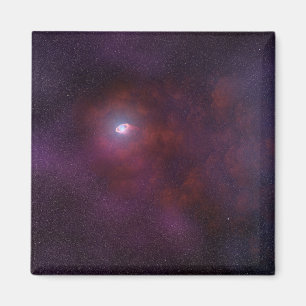 Pulsar Wind From A Neutron Star. Magnet