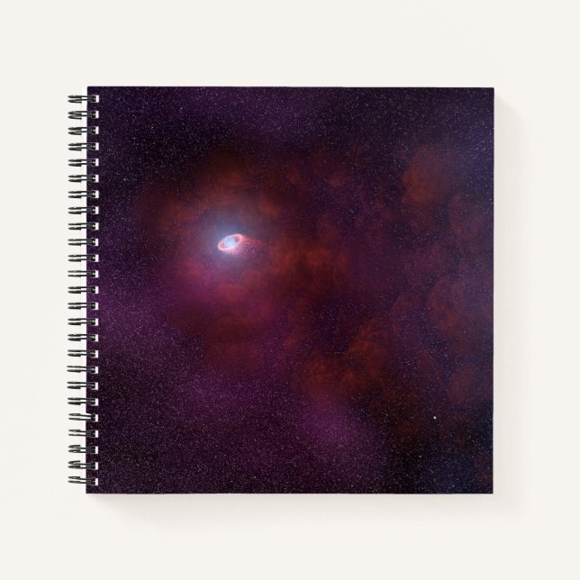 Pulsar Wind From A Neutron Star. Notebook (Front)