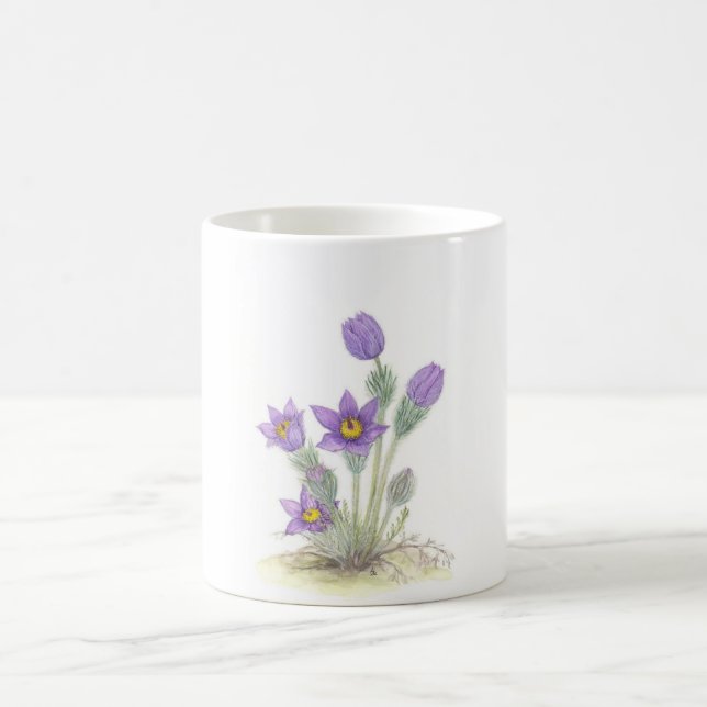 Pulsatilla vulgaris - Customised Coffee Mug (Center)