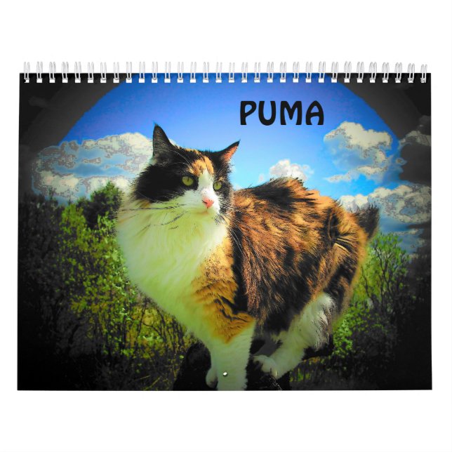 Puma, My Calico,  My Supermodel Calendar (Cover)