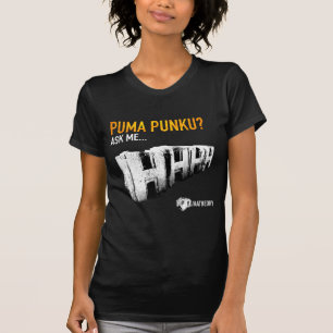 Puma Punku temple T-Shirt