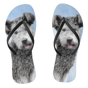 Pumi Painting - Cute Original Dog Art Jandals