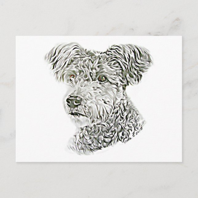 Pumi Postcard (Front)