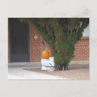 pumkin sitting on a toilet postcard