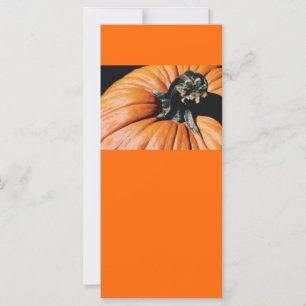 PUMPKIN!