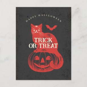 Pumpkin and Cat Black Trick or Treat Halloween  Postcard