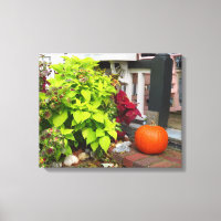 Pumpkin and Coleus - Martha's Vineyard