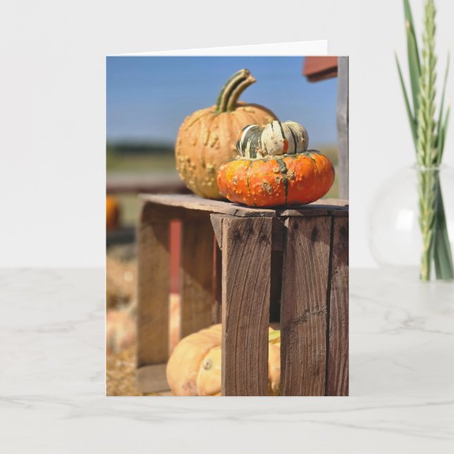 Pumpkin and Gourd card (Front)