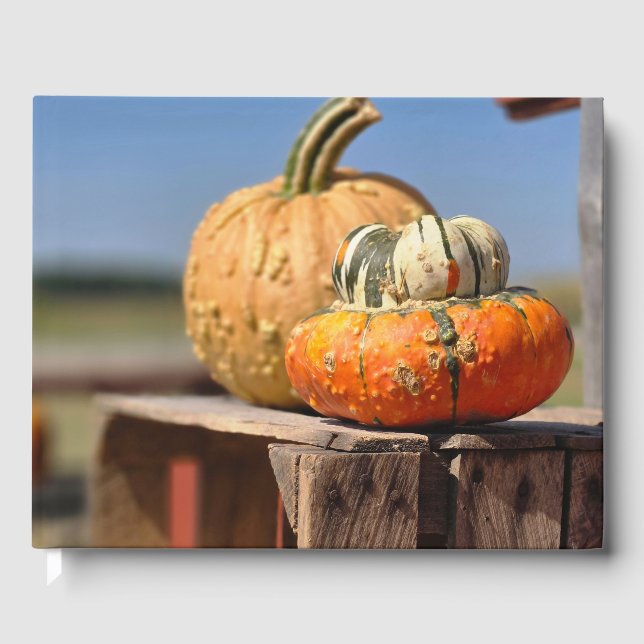 Pumpkin and gourd guest book (Front)