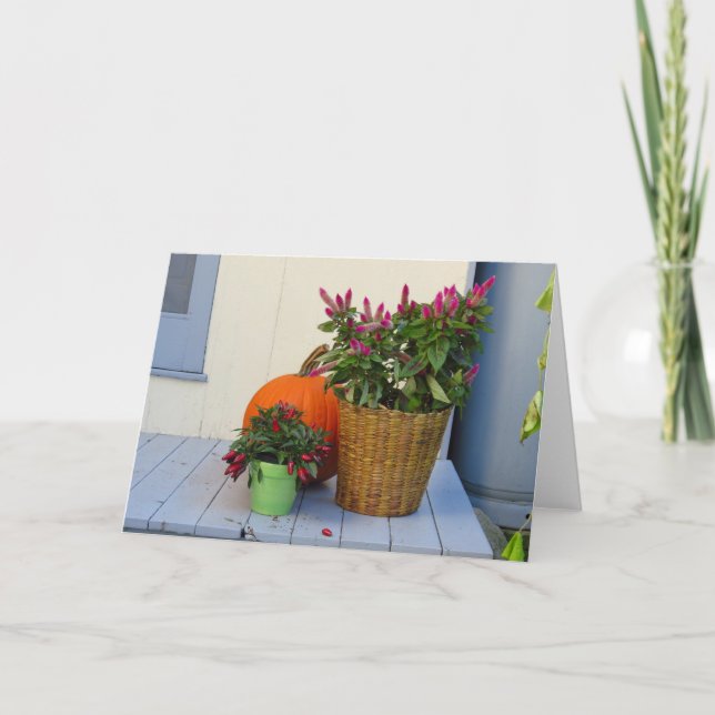 Pumpkin and Pepper Plant - Martha's Vineyard Card (Front)