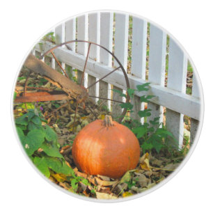 Pumpkin and Plough Ceramic Knob