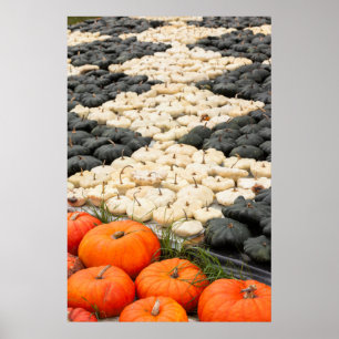 Pumpkin and squash pattern, Germany Poster