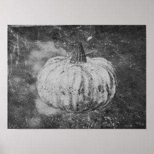 Pumpkin Autumn Vintage Black And White Texture Poster
