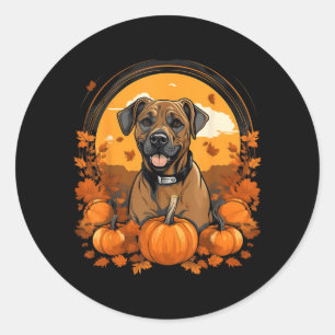 Pumpkin Black Mouth Cur Dog Halloween Thanksgiving Classic Round Sticker