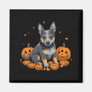 Pumpkin Blue Heeler Costume Australian Cattle Dog Magnet