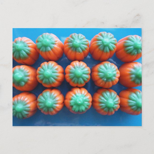 Pumpkin Candy Corn Gifts Postcard (Front)