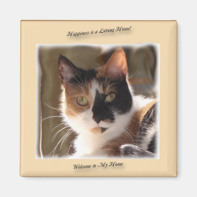 Pumpkin Cat Happiness Magnet (Front)