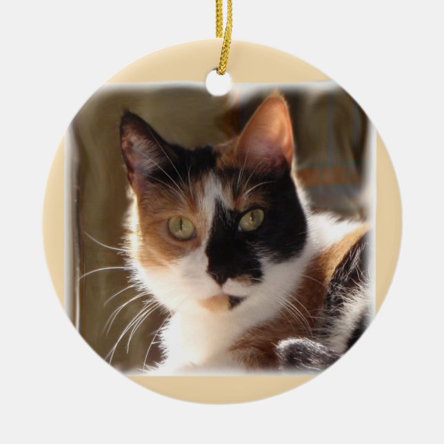 Pumpkin Ceramic Ornament (Front)