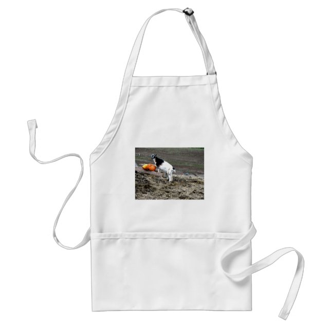 Pumpkin Eater Standard Apron (Front)
