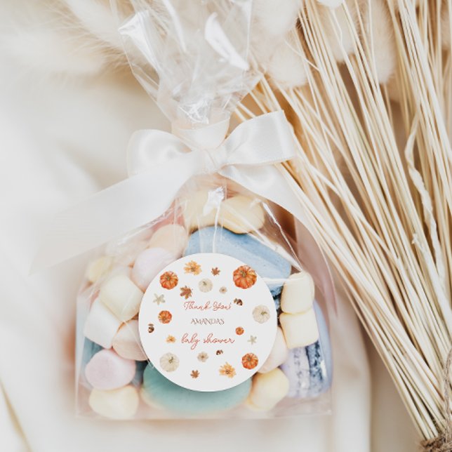 Pumpkin  Fall Autumn Baby Shower thank You Classic Round Sticker (Creator Uploaded)
