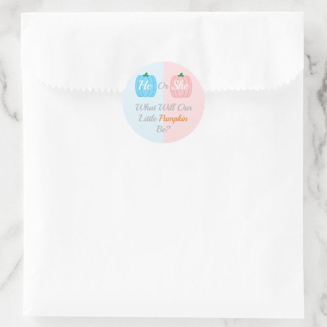 Pumpkin Fall Gender Reveal Classic Round Sticker (Bag)