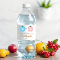 Pumpkin Fall Gender Reveal